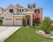 1406 Osprey Heights, San Antonio image