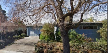 1011 Grape Avenue, Sunnyvale