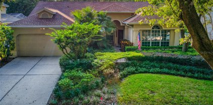 8711 Ashworth Drive, Tampa
