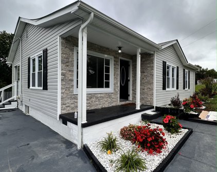 437 Pea Ridge Rd, Chestnut Mound