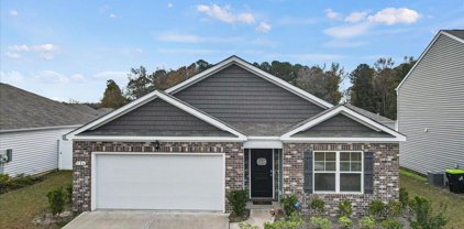 126 Pine Forest Dr., Conway