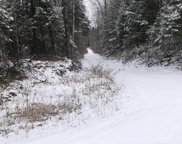 0000 NO NAME ROAD, Merrill image