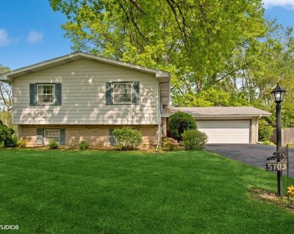 5703 E Clover Drive, Lisle
