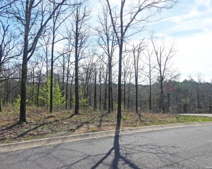 Lot 16 ROSE CREEK Place, Hot Springs