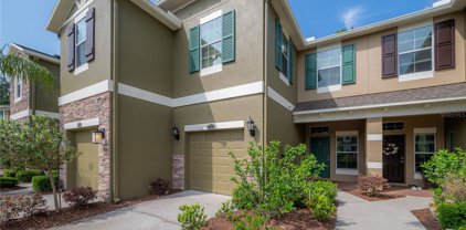 12428 Streamdale Drive, Tampa