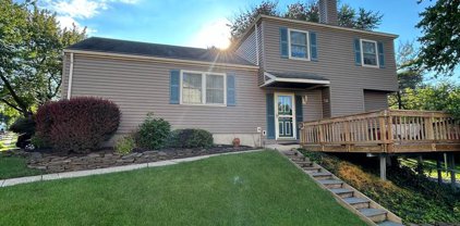 58 Saint Davids Rd, Springfield