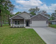 30723 Green Forest Drive, Magnolia image