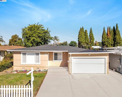 537 Solano Ave, Hayward