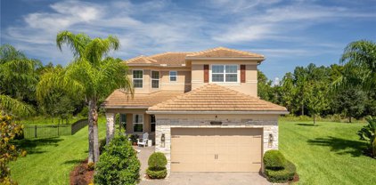 30314 Ceasar Park Drive, Wesley Chapel