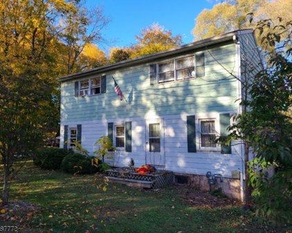 29 Pulaski Rd, Readington Twp.