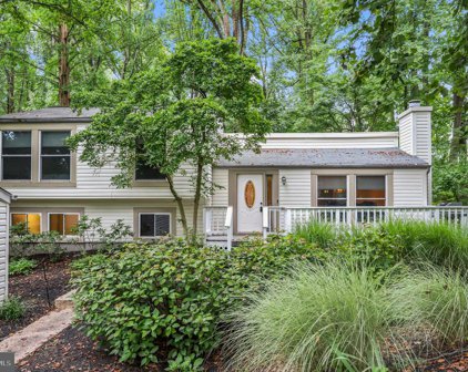 6318 Leafy Screen, Columbia