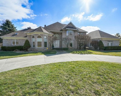 71447 Forest Eagle, Niles