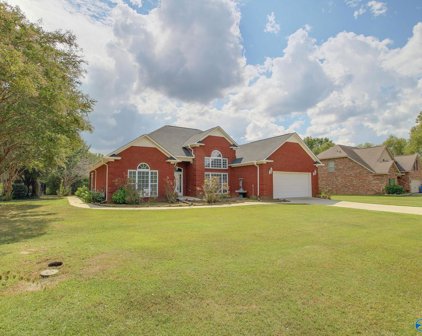 1506 Crown Pointe Drive, Hartselle