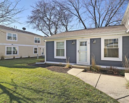 315 Somerset Lane Unit #315, Vernon Hills