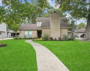 14907 Oak Bluff Court, Houston image