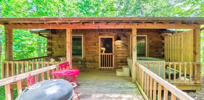 2130 Bear Paw Trail Way, Sevierville