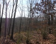 Lot 9 Little Mountain, Reeds Spring image