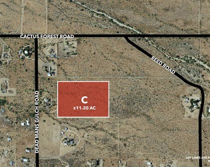 11acres E Cactus Forest & N. Reed Road Unit C, Florence