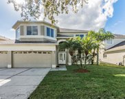 18126 Sandy Pointe Drive, Tampa image