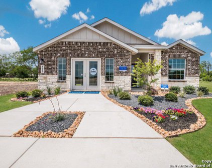 9129 Honey Mesquite, Seguin