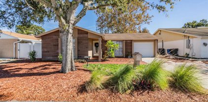 9608 Kingsburgh Court, Tampa