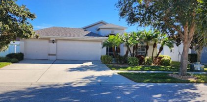 13714 Rothman Tate Place, Riverview