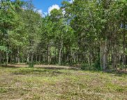 TBD CR 417 TX, Dayton image