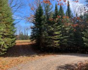 ON Timber Pt Ln, Land O Lakes image