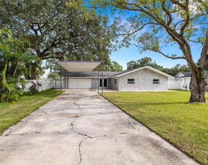 6409 Walton Way, Tampa