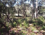 8514 N Erin Drive, Crystal River image