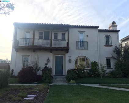 2360 Cole Lane, Alameda