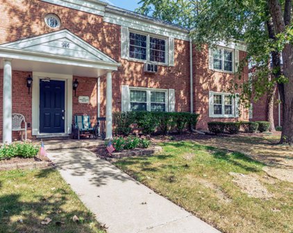 914 W St James Street Unit #1E, Arlington Heights