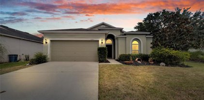 6743 Wild Elm Court, Wesley Chapel