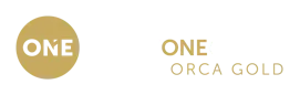 Intrepidhometeam.com