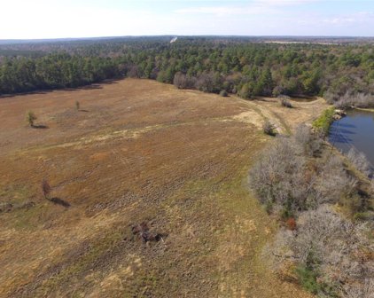 13.71 Acres Tract 1 TBD Percy Howard Rd, Huntsville
