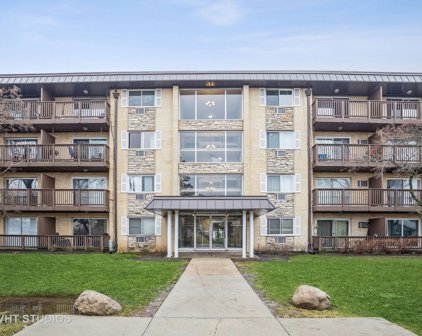 2214 S Goebbert Road Unit #479, Arlington Heights