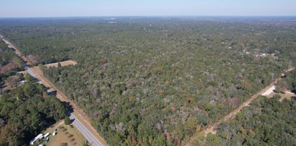 Rayonier Road, Jesup
