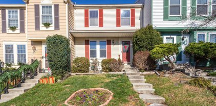 15518 N Nemo Ct, Bowie