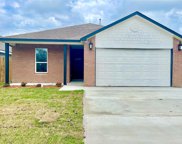 13135 Bamboo Forest Trail, Houston image