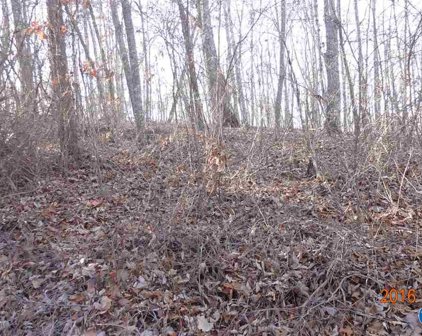 LOT 45 Bella Vista Drive, Scottsboro