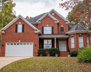 340 Oxenbridge Way, Chapin image