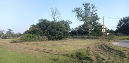 LOT 12 Gopher Court, Elberta