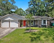 8 Early Dawn Court, The Woodlands image