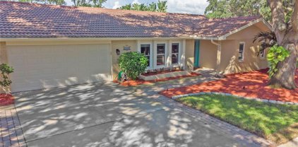 1889 Mourning Dove Drive, Palm Harbor