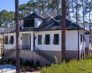 58 Wicklow Dr, Hilton Head Island image