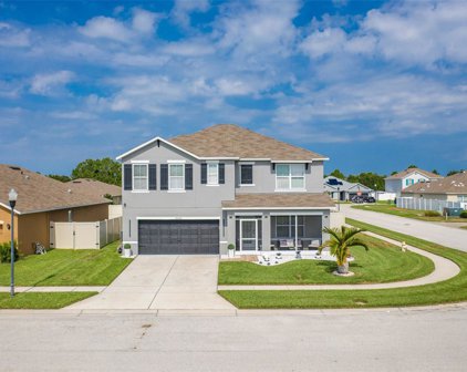 6022 Grey Heron Drive, Winter Haven