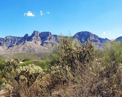 11480 N Flying Bird Unit #Lot 25, Oro Valley