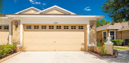 19149 White Wing Place, Tampa