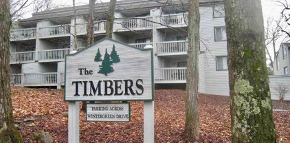 232 Timbers, Wintergreen