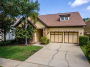 11531 Meridian Point Drive, Tampa image
